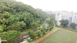 bukit-batok-street-31 photo thumbnail #8